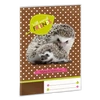 Kép 1/8 - A/5 ISKOLAI FÜZETBORÍTÓ ERDŐ-SÜNI/HEDGEHOG (686) 14