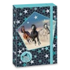 Kép 1/8 - A/4 FÜZETBOX MORNING STAR (893) 19