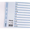 Kép 2/8 - Regiszter, karton, A4, A-Z, ESSELTE "Mylar"