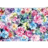 Kép 1/8 - Irattartó tasak, A4, PP, cipzáras, PANTA PLAST "Roses"
