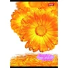 Kép 2/8 - Spirálfüzet, A4, kockás, 80 lap, UNIPAP "Flowers"