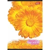 Kép 7/8 - Spirálfüzet, A4, kockás, 80 lap, UNIPAP "Flowers"