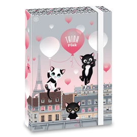 A/4 FÜZETBOX THINK PINK  (5003) 20