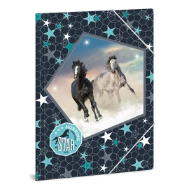 A/4 DOSSZIÉ MORNING STAR (893) 19