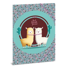 A/4 DOSSZIÉ BEST FRIENDS (915) 19