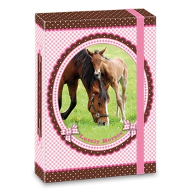 A/5 FÜZETBOX MY HORSE (678) 14