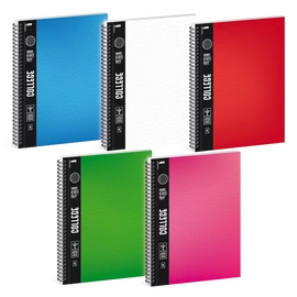 ARS UNA SPIRÁLFÜZET COLLEGE A4-NÉGYZETHÁLÓS 5 SZÍNŰ MIX (565) 19