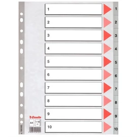 Regiszter, műanyag, A4, 1-10, ESSELTE,szürke