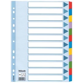 Regiszter, laminált karton, A4, 12 részes, ESSELTE "Mylar"