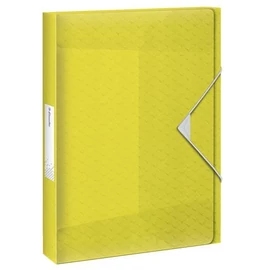 Gumis mappa, 40 mm, PP, A4, ESSELTE "Colour` Ice", sárga