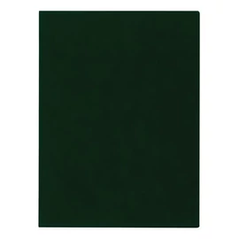 Oklevéltartó, plüss, A4, VICTORIA, zöld