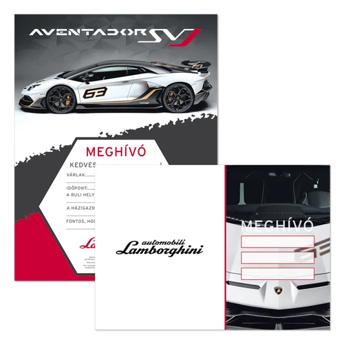 PARTIMEGHÍVÓ BORÍTÉKKAL LAMBORGHINI-2 (5026) 20