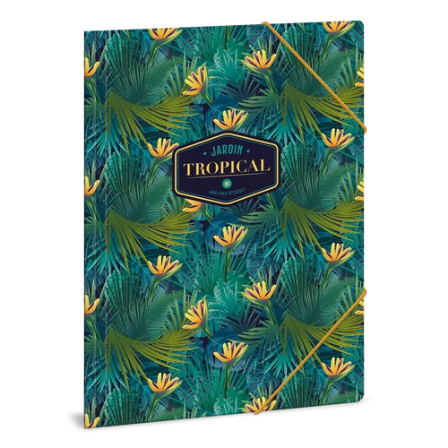 A/4 DOSSZIÉ TROPICAL FLORIDA (921) 19