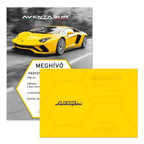 PARTIMEGHÍVÓ BORÍTÉKKAL LAMBORGHINI (835) 18