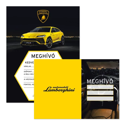 PARTIMEGHÍVÓ BORÍTÉKKAL LAMBORGHINI (948) 19