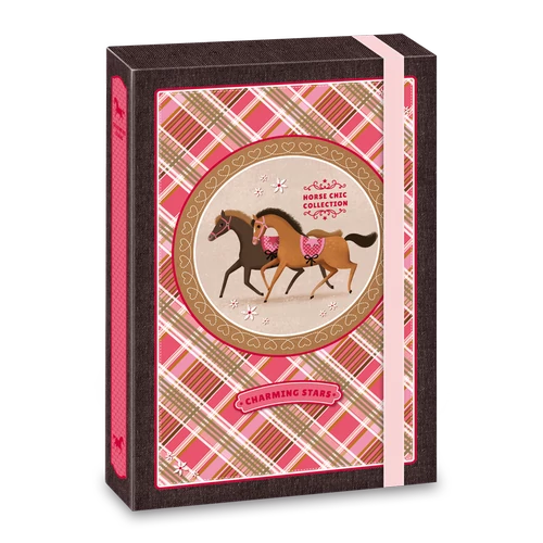 A/4 FÜZETBOX CHARMING STARS (764) 16