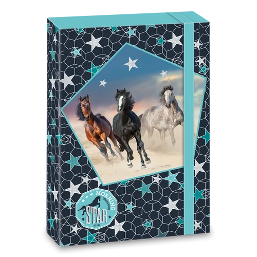A/4 FÜZETBOX MORNING STAR (893) 19