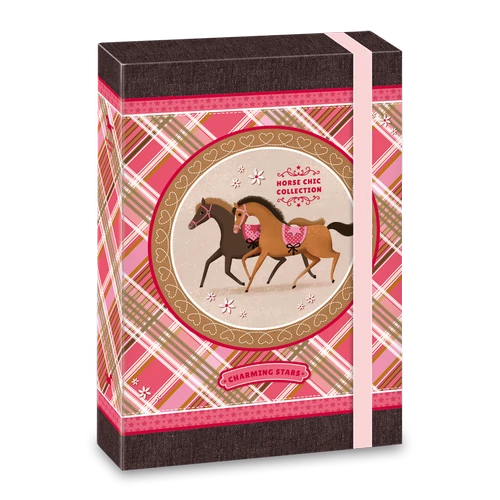 A/5 FÜZETBOX CHARMING STARS (764) 16