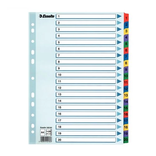 Regiszter, karton, A4, 1-20, ESSELTE "Mylar"